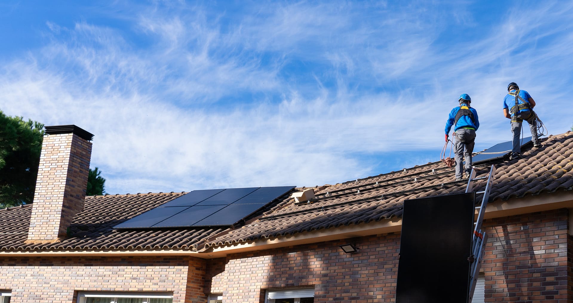 solar panel cleaner in Darlington 11 Random Image